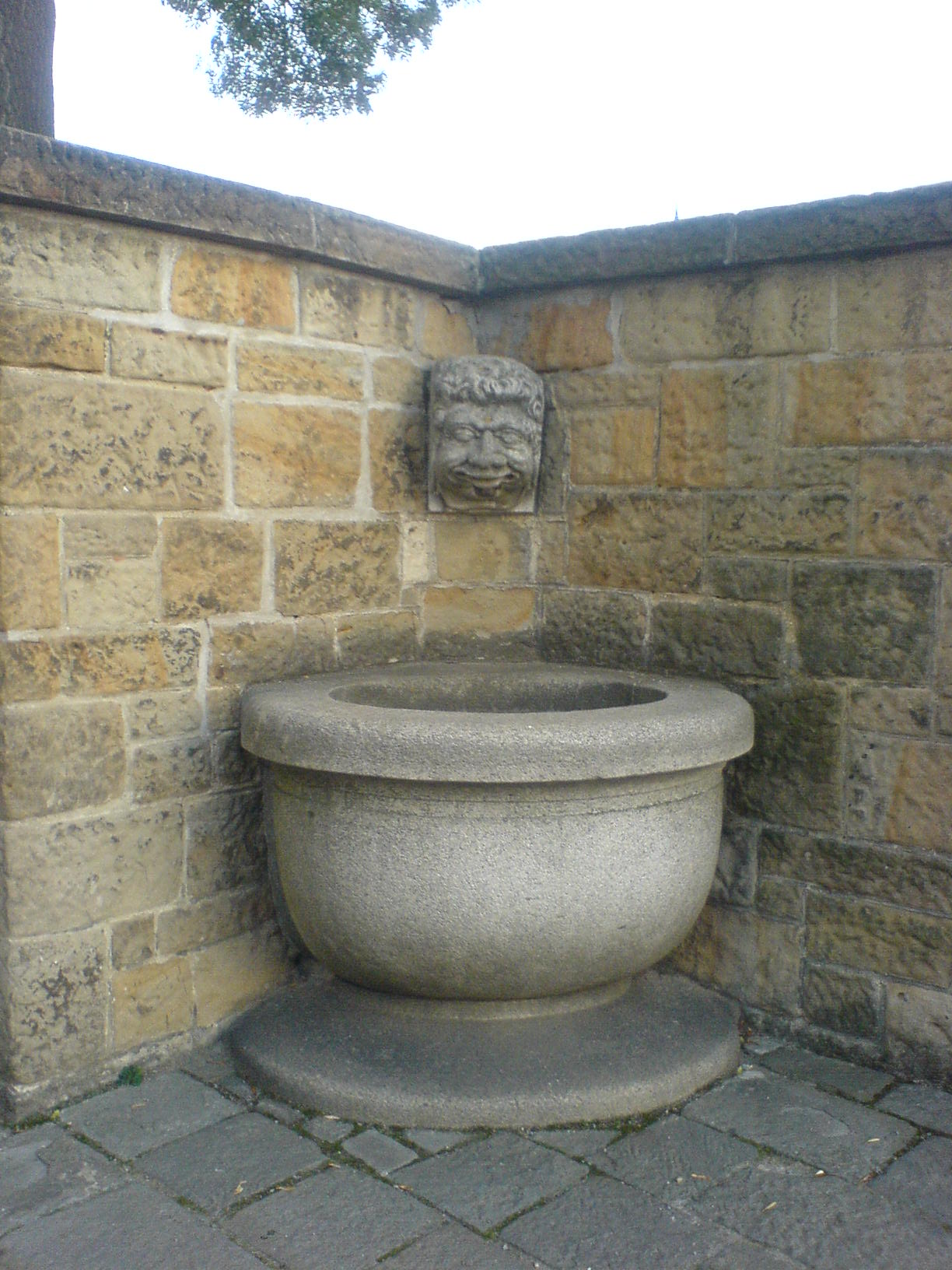 DSC00062.JPG