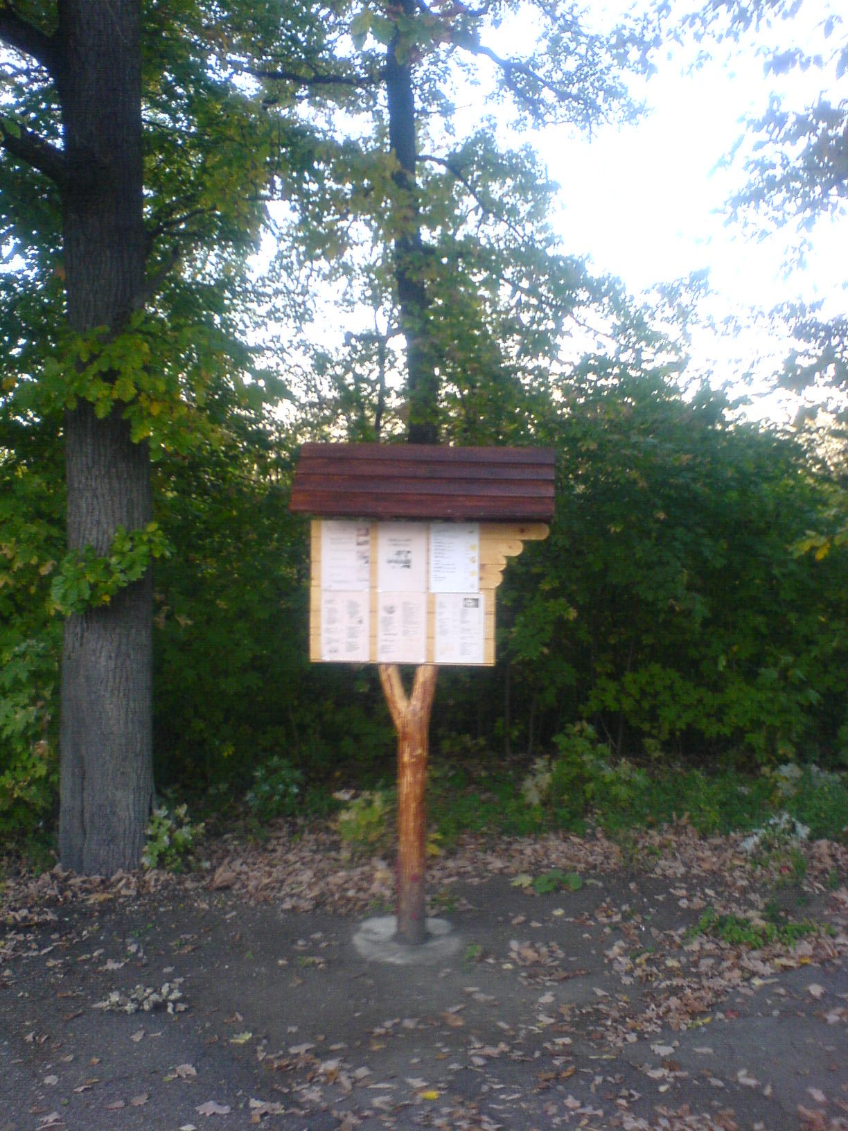 DSC00097.JPG