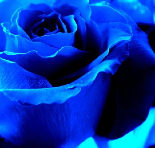 6815449.jpg