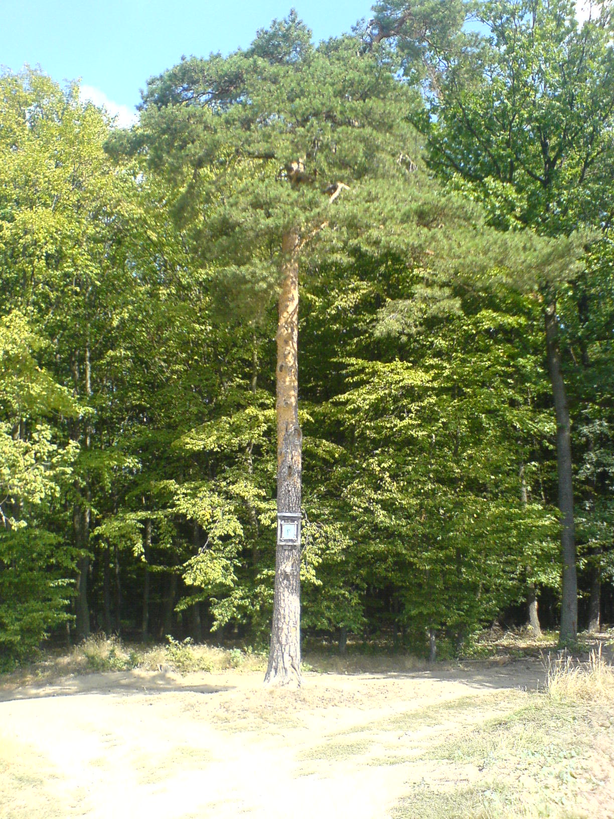 DSC00024.JPG