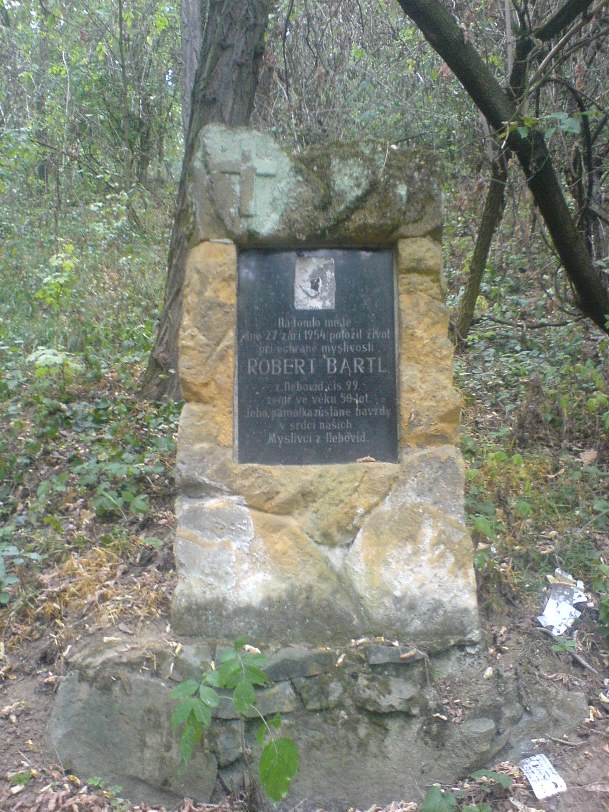DSC00031.JPG